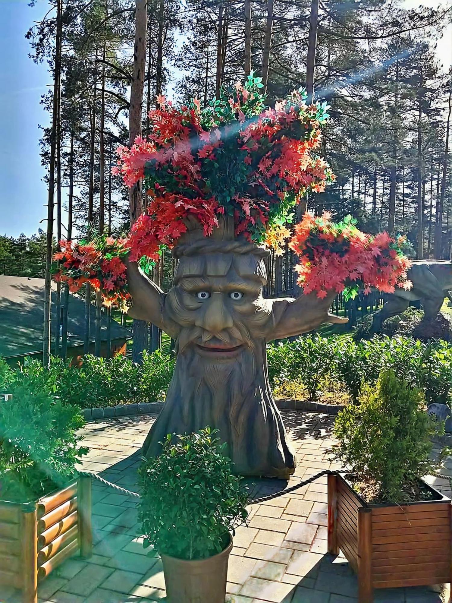 Silver Star Zlatibor Exterior foto