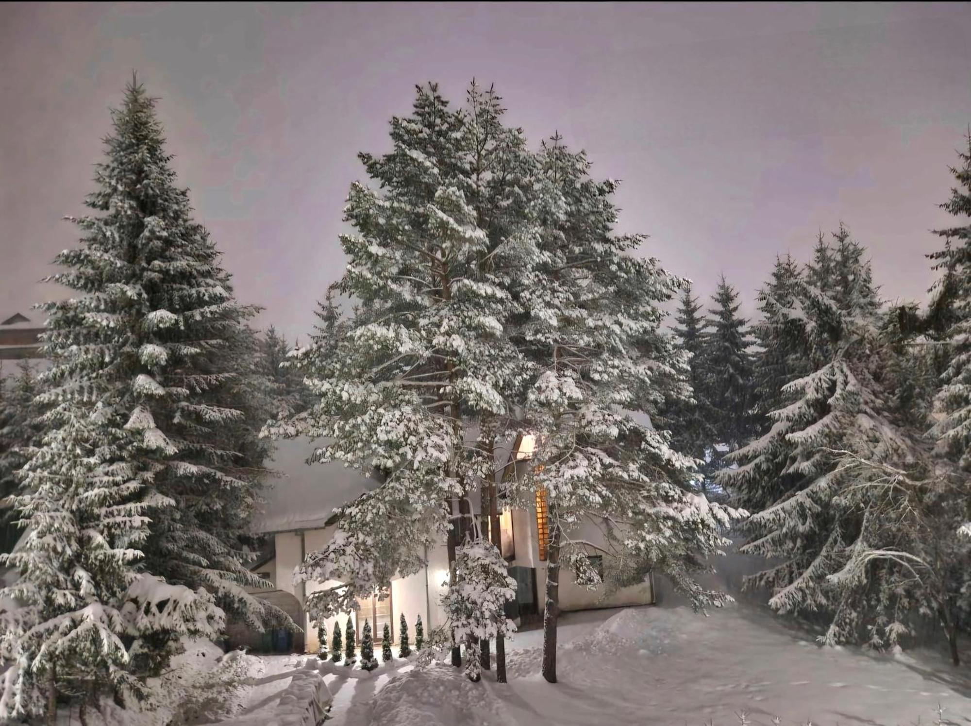 Silver Star Zlatibor Exterior foto